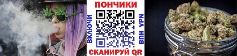 Галлюциногенные грибы Правдинск