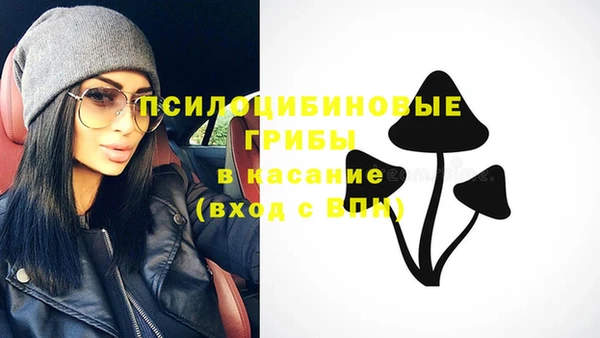 стафф Краснослободск