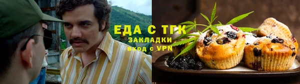 ГАЛЛЮЦИНОГЕННЫЕ ГРИБЫ Аркадак