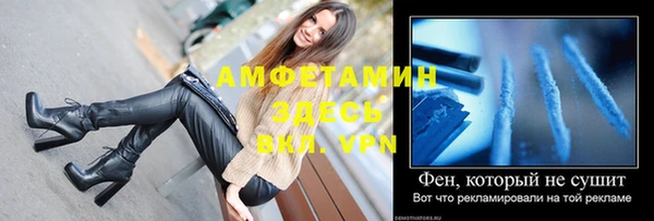 ГАЛЛЮЦИНОГЕННЫЕ ГРИБЫ Аркадак