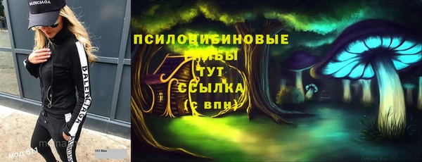 ГАЛЛЮЦИНОГЕННЫЕ ГРИБЫ Аркадак