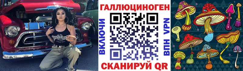 где купить Правдинск Галлюциногенные грибы MAGIC MUSHROOMS
